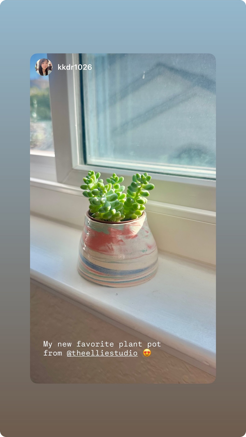 creamy white pink blue sky sunset nerikomi planter with succulent near window