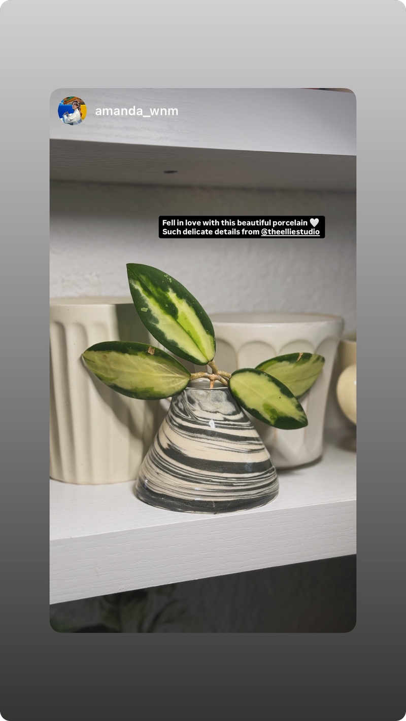creamy white and black marbled nerikomi planter with house plant on a shelf